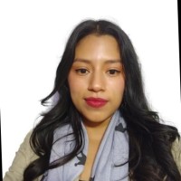 Josselyn Chancusig