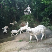 张雪城