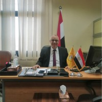 Ashraf Helmy