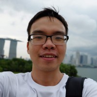 Hoang Long Nguyen
