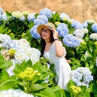 Đinh Trang