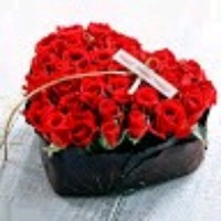 Afif Elshamy