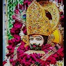 Vivek Sangwan