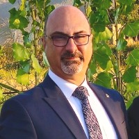 Moe Hamedani
