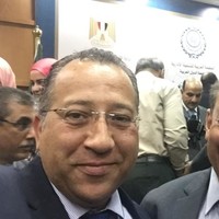 Muhammad Eldessouky