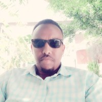 Ali Hassan Geedi