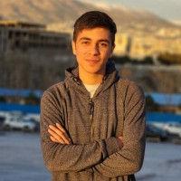 Mohammad Mahdi Abedian