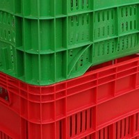 Ricardo Soares Fonseca