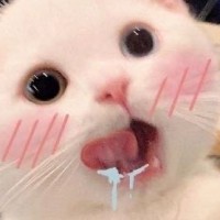 张新宁