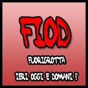 FIOD Ieri oggi e domani?