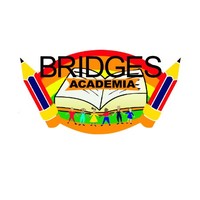 Bridges Academia Llc ...