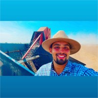 Pedro Henrique Lopes Silva