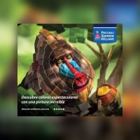 Juan Carlos Gutierrez