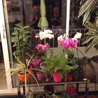 Christine Sénéchal- Vieira