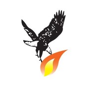 Falcon Oil And Gas Supplies And Services Fze