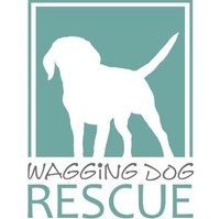 The Rescue Lady