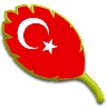 Berat Küçükali