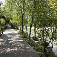 许德红