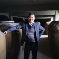 Frank YANG