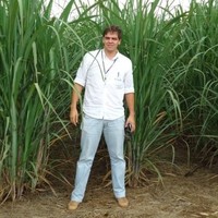 Bruno Teixeira Santos