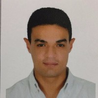 Micheal Allam Abu Elzin