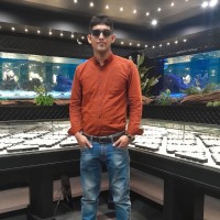 Md Umor Faruk