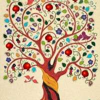 Nicholle Mcewan