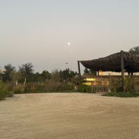 Aysha Aleissaee