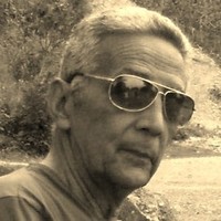 Lee Fernandez