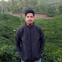 Saddam Hossain
