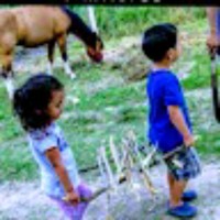 juan carlos pavon gomez