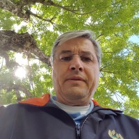 Flavio Pasini