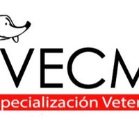 Vecme Spa