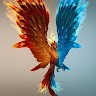 El Fenix
