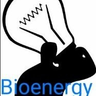 Bioenergy Renovable