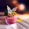 Shifa Parveen