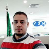 Mostafa M. Ibrahim, Pmp, Rmp, Bim, Gis