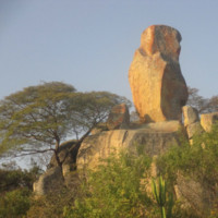Phanuel Chihota