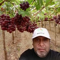 Luis Carlos Temoche Castro