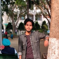 Vikas P.
