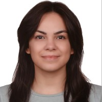 Seda Nur Gebes