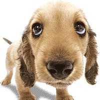 Danna Giselle Miramontes Parra