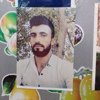 Birkan Hiz