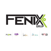 Fenix grup