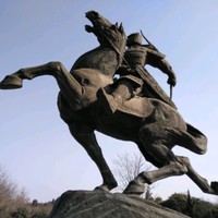 杨晓冬