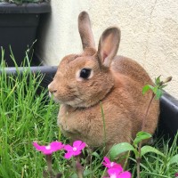 Manuel Grande Alcarria