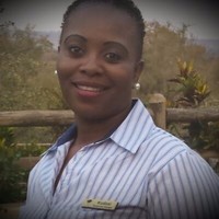 Kudzai ncube