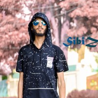 Abdul Haseeb Ali