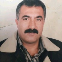محمد حسين