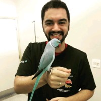 Junior Soares